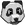 Panda Icon.png