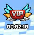 Duration of a VIP account.